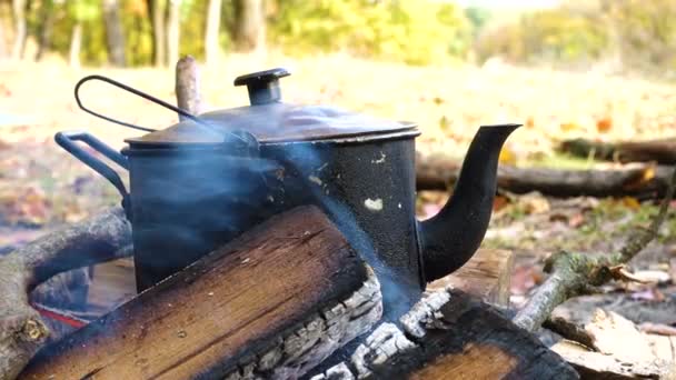 Wasserkocher Lagerfeuer Wald — Stockvideo