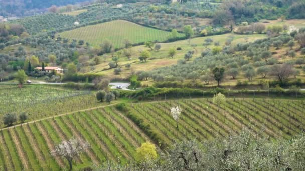 Typiska Tuscanian Landskap Med Vackra Gröna Kullar — Stockvideo