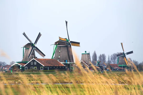 Vindkraftverk Zaanse Schans Netherland Holland Sommar — Stockfoto