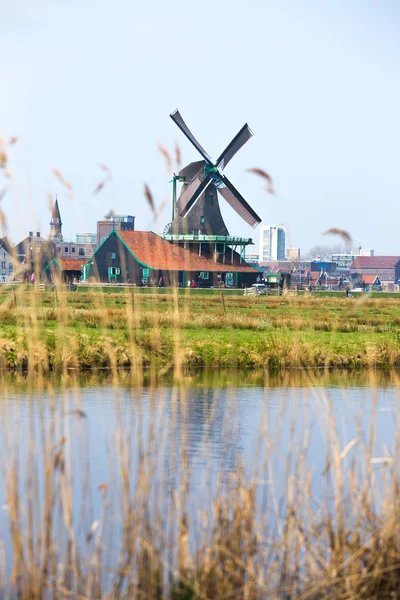 Ανεμογεννήτριες Στο Zaanse Schans Ολλανδία Ολλανδία Καλοκαίρι — Φωτογραφία Αρχείου