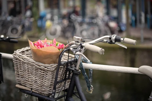 Panier Avec Tulipes Sur Vélo Amsterda — Photo