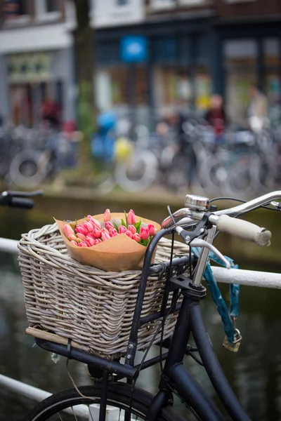 Кошик Тюльпанів Велосипеді Amsterda — стокове фото