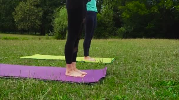 Two Girls Practicing Yoga Exercises Outdoors — Stock Video