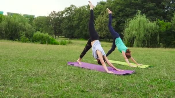 Duas Meninas Praticando Exercícios Ioga Livre — Vídeo de Stock