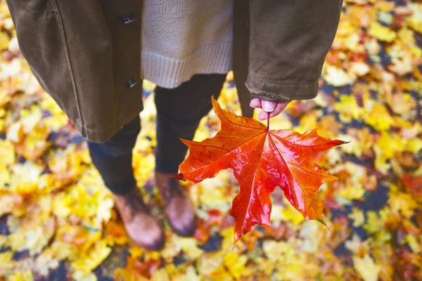 Umore Autunnale Adolescente Che Tiene Una Foglia Acero Rossa Nel — Foto Stock