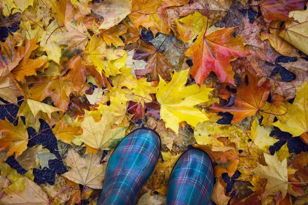Herbststimmung Füße Gummistiefeln Vor Buntem Ahornblatt — Stockfoto