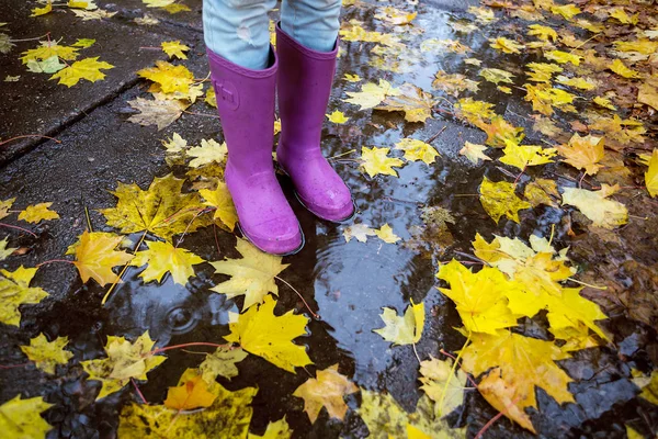 Herbststimmung Füße Gummistiefeln Vor Dem Hintergrund Bunter Ahornblätter Einer Pfütze — Stockfoto