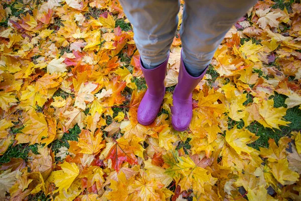Herbststimmung Füße Gummistiefeln Vor Dem Hintergrund Bunter Ahornblätter Einer Pfütze — Stockfoto
