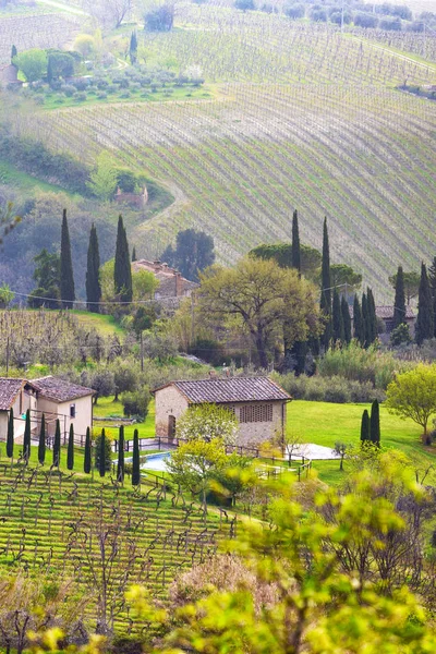 Typická Toskánská Krajina Pohled Vile Kopci Cypřišová Alej Údolí Vinicemi — Stock fotografie