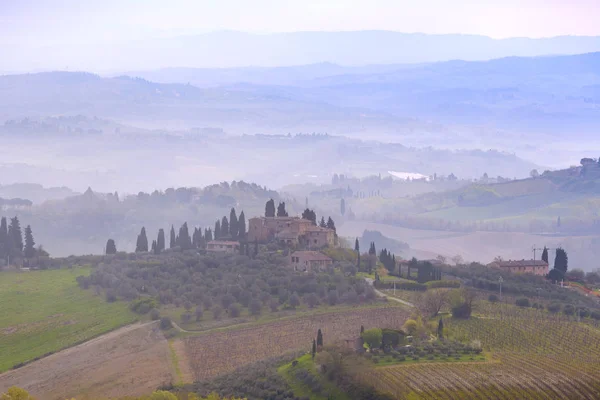 Typical Tuscan Landscape View Villa Hill Cypress Alley Valley Vineyards — Stock Photo, Image