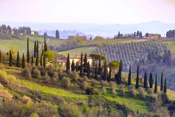 Типовий Тосканського Пейзажу Вид Віллу Пагорбі Кипарисовій Алеї Долини Виноградниками — стокове фото
