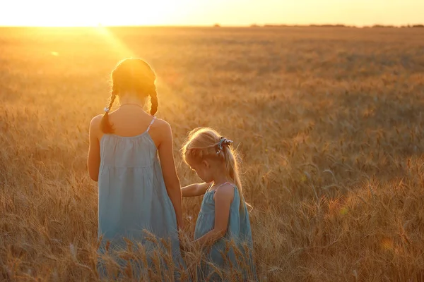 Radosti Mladých Dívek Poli Pšenice Západu Slunce Tim — Stock fotografie