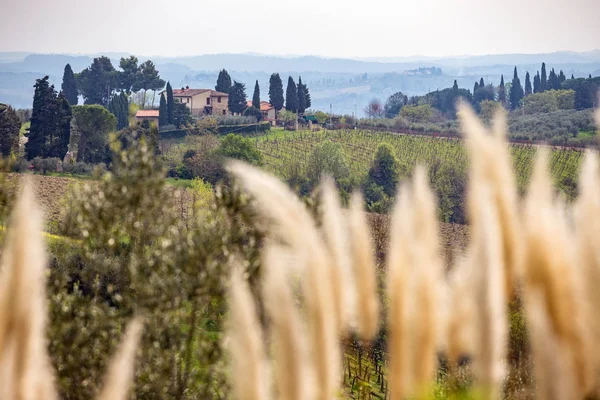 Paisagem Típica Toscana Uma Vista Uma Vila Uma Colina Beco — Fotografia de Stock