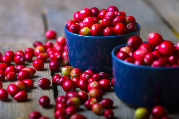 Cranberries Vermelho Brilhante Uma Bela Tigela Azul Uma Mesa Madeira — Fotografia de Stock
