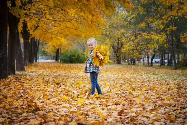 Осень Улыбающаяся Маленькая Девочка Кленовым Листом Улице — стоковое фото