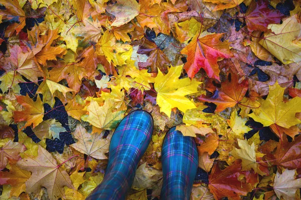 Höstens Mood Fötter Gummistövlar Mot Bakgrund Färgglada Lönn Lämnar — Stockfoto