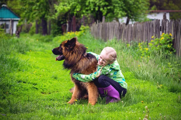 Meisje Met Grote Hond Shepher — Stockfoto