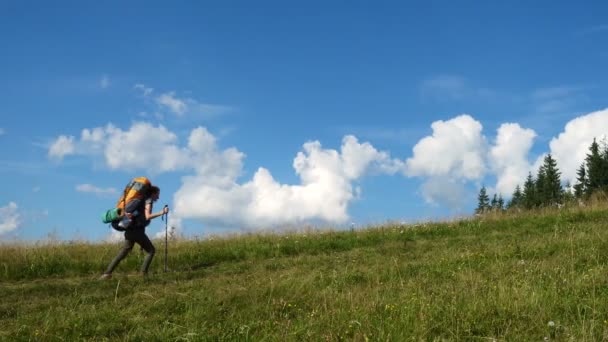 Girl Hiker Backpack Grass Hill Sunny Summer Day — Stock Video