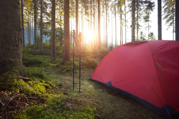 Rotes Zelt Und Wanderstöcke Wald Vor Dem Hintergrund Der Aufsteigenden — Stockfoto