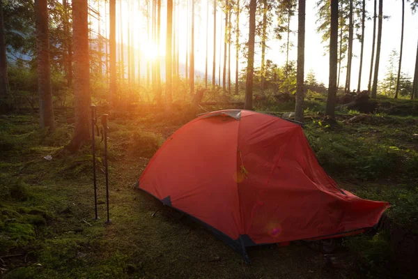 Rotes Zelt Und Wanderstöcke Wald Vor Dem Hintergrund Der Aufsteigenden — Stockfoto