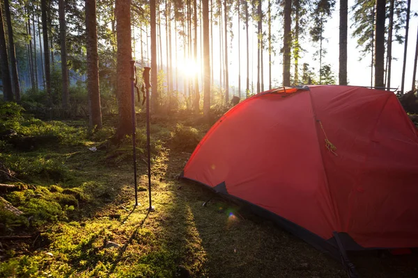 Röda Tält Och Trekking Stolpar Skogen Mot Bakgrund Den Stigande — Stockfoto