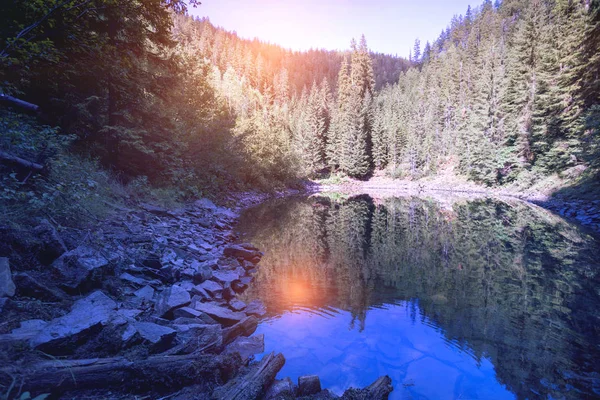 Bergsee Rosohan Der Karpaten Ukraine — Stockfoto