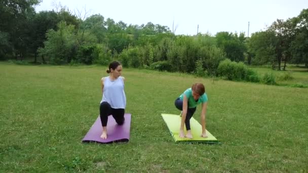 Duas Meninas Praticando Exercícios Ioga Livre — Vídeo de Stock