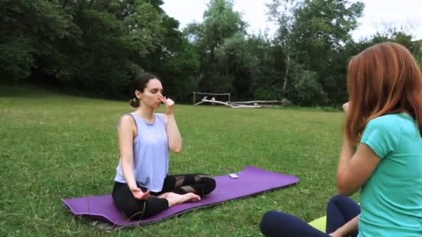两个女孩在户外练瑜伽 — 图库视频影像