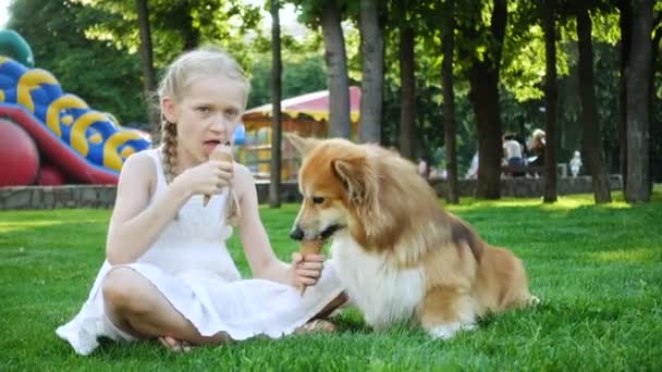 Dziewczyna Jej Corgi Puszysty Pies Jeść Lody Trawie Parku — Wideo stockowe