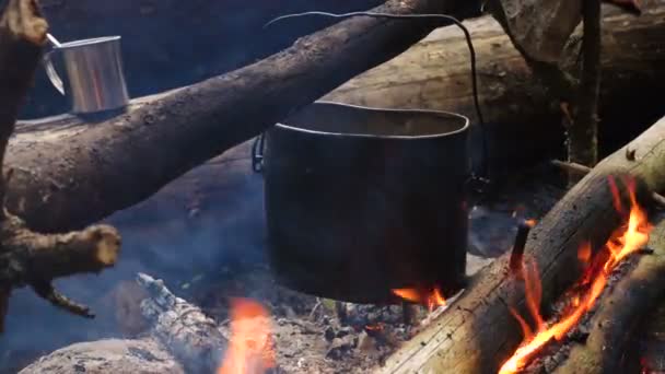 Чайник Костре Лесу — стоковое видео