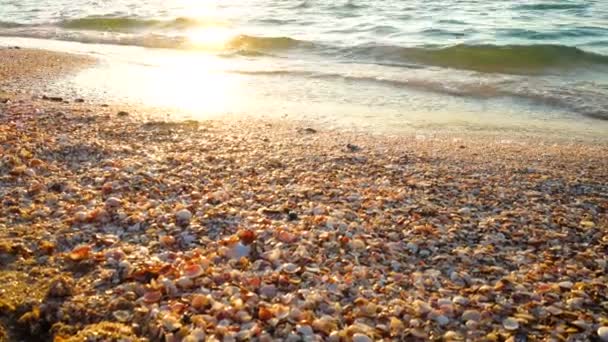 Красивий Морський Серфінг Під Час Сходу Сонця Крупним Планом — стокове відео