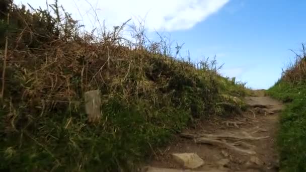 Rocky Atlantische Oceaan Kust Bretagne Frankrijk — Stockvideo