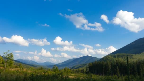 Grüne Hügel Und Wolkenverhangener Blauer Himmel Zeitraffer — Stockvideo