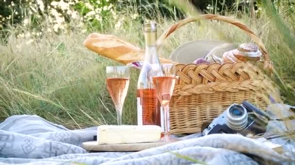 Picknickkorb Mit Essen Und Einer Flasche Wein Auf Einer Wiese — Stockvideo