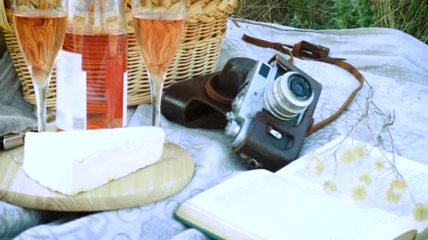 Picnic Basket Food Bottle Wine Grass Field — Stock Video