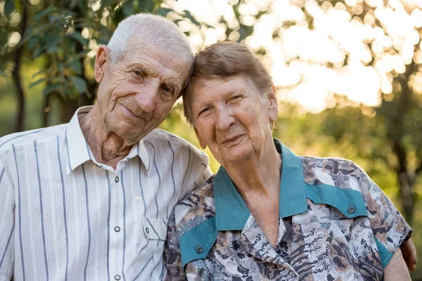 Mosolygó Nagyszülők Portré Mosolygó Idősebb Férfiról Idős Nőről Kertben Boldog — Stock Fotó