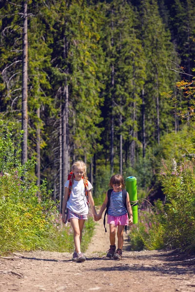Yürüyüşe Çıkmış Küçük Çocuklar Eğlenceli Kız Arkadaşlar Çam Ağaçlarının Arka — Stok fotoğraf