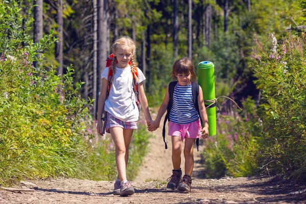 Yürüyüşe Çıkmış Küçük Çocuklar Eğlenceli Kız Arkadaşlar Çam Ağaçlarının Arka — Stok fotoğraf