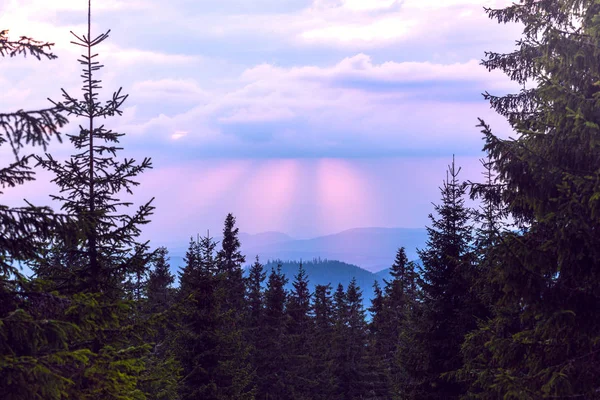 Bellissimo Paesaggio Montano Sfondo Pinete Cielo Tramonto Nel Backgroun — Foto Stock