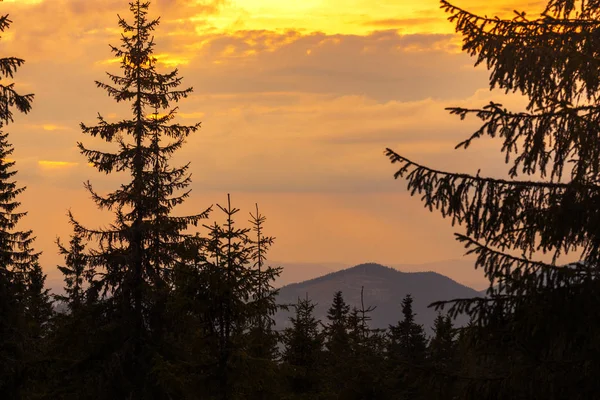 Güzel Dağ Manzarası Çam Ormanlar Gün Batımı Gökyüzünde Adam Arka — Stok fotoğraf
