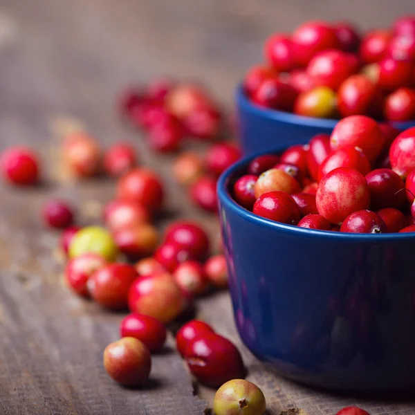 Cranberries Vermelho Brilhante Uma Bela Tigela Azul Uma Mesa Madeira — Fotografia de Stock