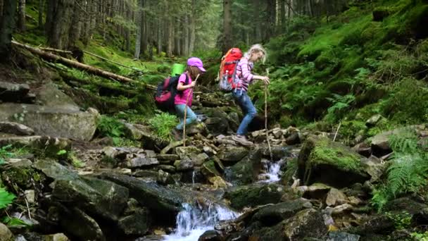 Familie Wandeltocht Het Bergwoud — Stockvideo