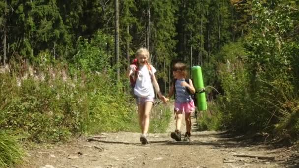 Duas Meninas Vão Caminhadas Com Mochilas Uma Estrada Floresta Dia — Vídeo de Stock