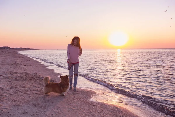 Glad Helg Vid Havet Tjej Med Hund Stranden Ukrainska Landskapet — Stockfoto