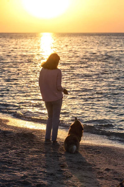 Fine Settimana Felice Riva Mare Ragazza Con Cane Sulla Spiaggia — Foto Stock