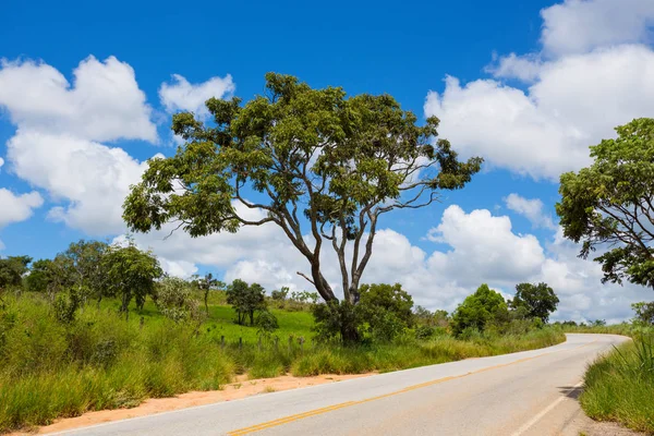 Road Trip Pusta Droga Przepięknymi Krajobrazami Wokół Brazi — Zdjęcie stockowe