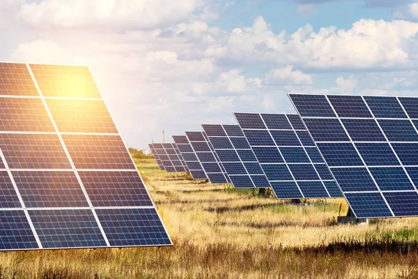 Plantas Energía Solar Paneles Solares Fondo Del Cielo Energ Alternativo — Foto de Stock