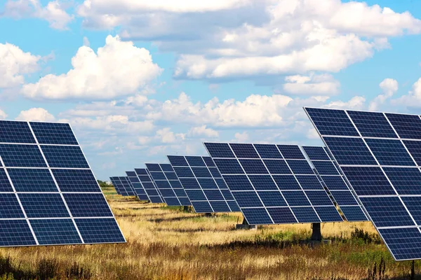 Plantas Energía Solar Paneles Solares Fondo Del Cielo Energ Alternativo — Foto de Stock