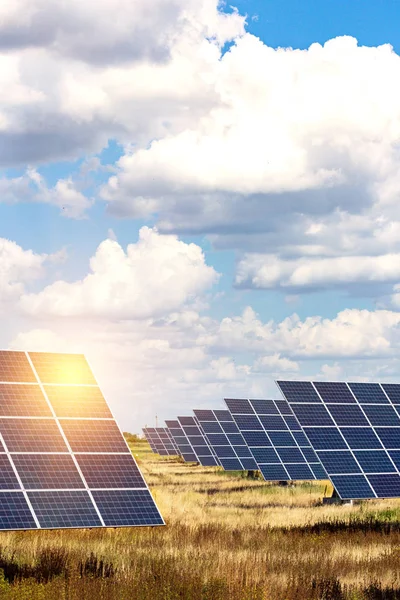 Plantas Energía Solar Paneles Solares Fondo Del Cielo Energ Alternativo — Foto de Stock