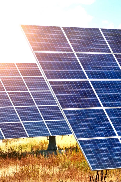 Plantas Energía Solar Paneles Solares Fondo Del Cielo Energ Alternativo — Foto de Stock